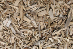 biomass boilers Lydmarsh